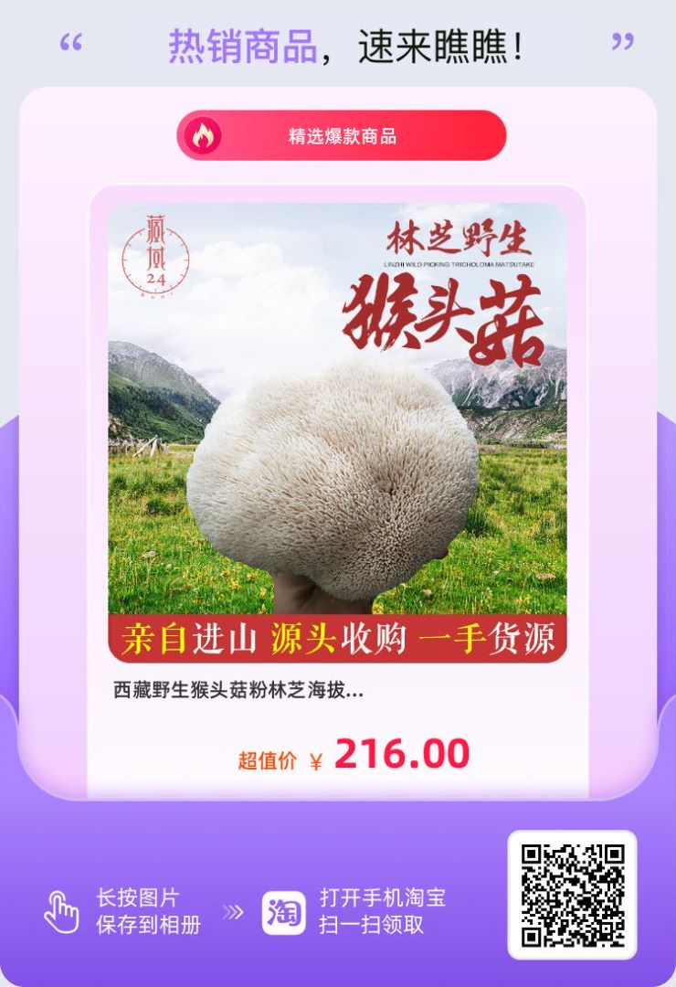 野生猴頭菇