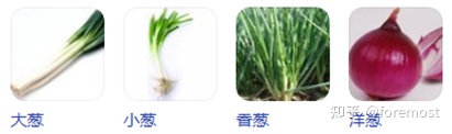 從洗菜,理菜,切菜,切輔料(蒜,生姜,辣椒,蔥花,洋蔥) 從洗菜,理菜,切菜,切輔料(蒜,生姜,辣椒,蔥花,洋蔥)