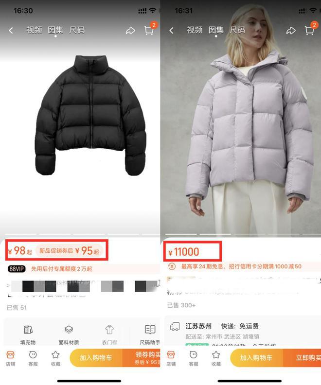 羽絨服的價格現在可以說呈現了一個兩極分化.jpg