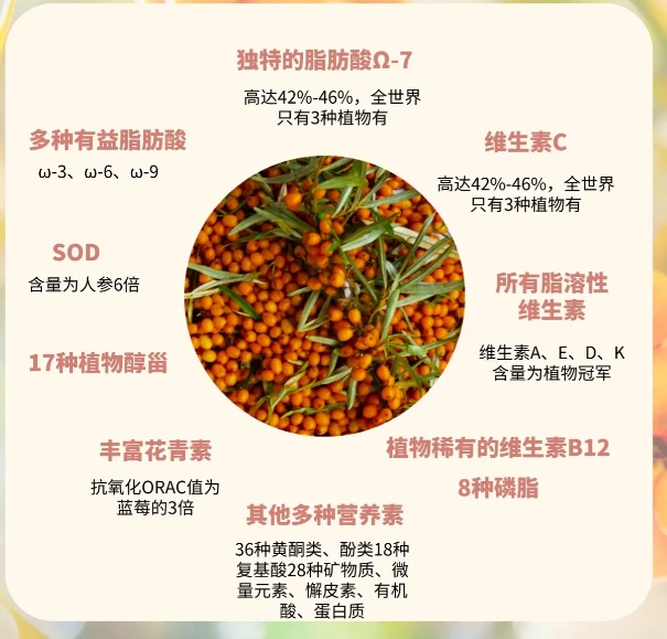 沙棘原漿帶來的不僅是新奇的味覺體驗，更是一份健康的滋補.png