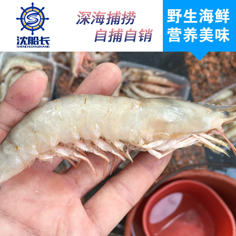 怎么回事？活蹦亂跳的蝦一買回來就死了