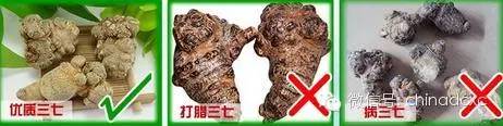 打粉的三七除了正常的三七外，也有可能是劣質的三七.jpg