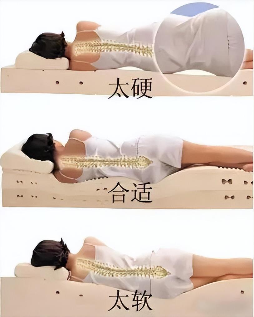 偏硬的床墊適合什么人睡？