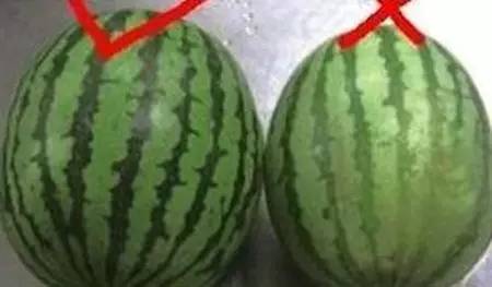 顏色要挑青綠色.jpg