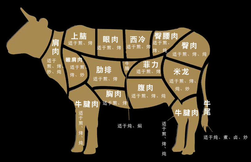買牛肉應該挑選哪些部位最好.jpg