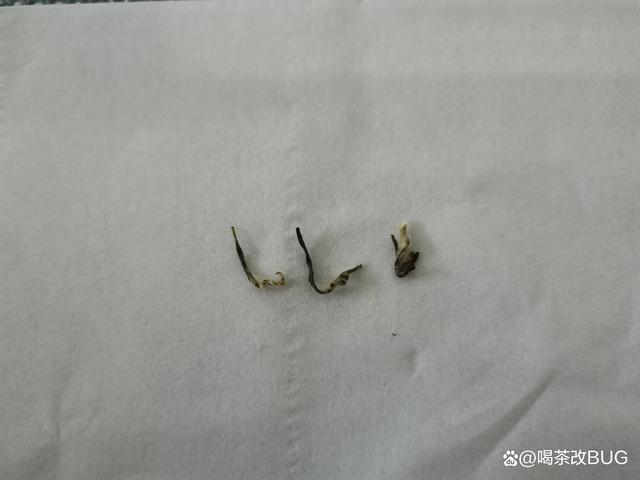 碧螺春的蜜蜂腿、滿身毛、銅絲條.jpeg