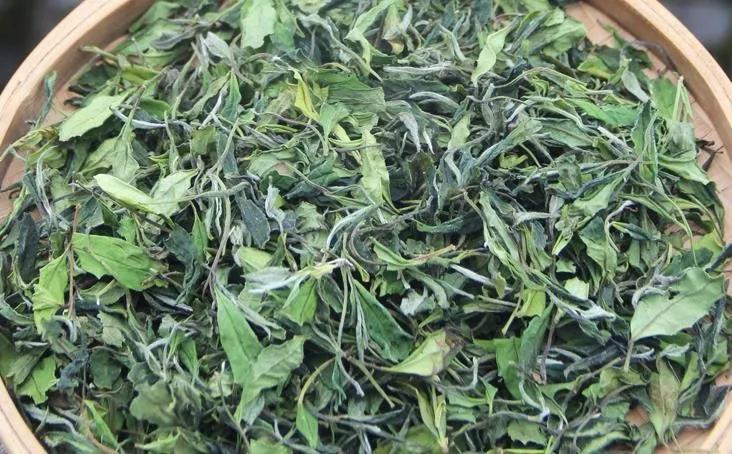 壽眉等級(jí)小菜茶.jpg